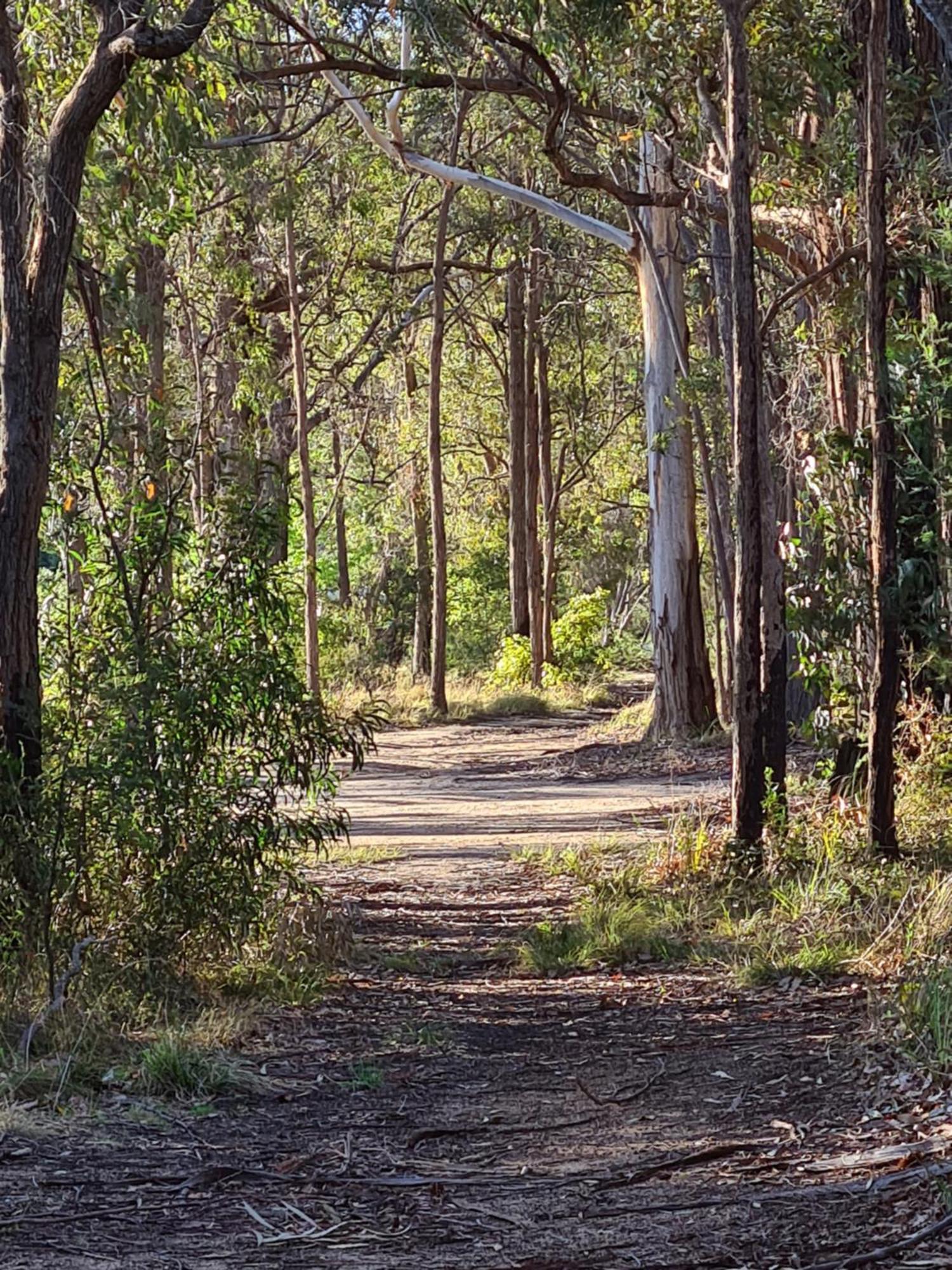 Mallacoota'S Shady Gully Caravan Park Dış mekan fotoğraf