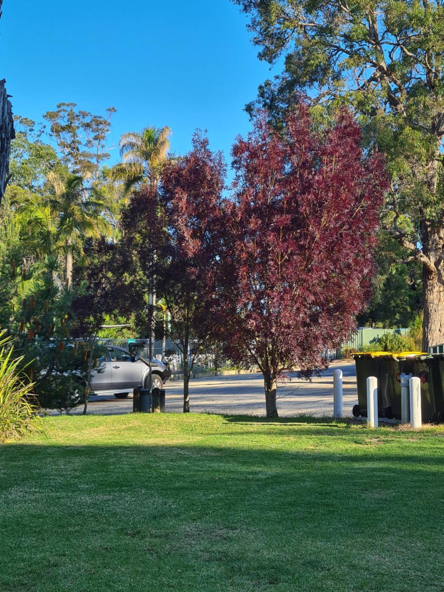 Mallacoota'S Shady Gully Caravan Park Dış mekan fotoğraf